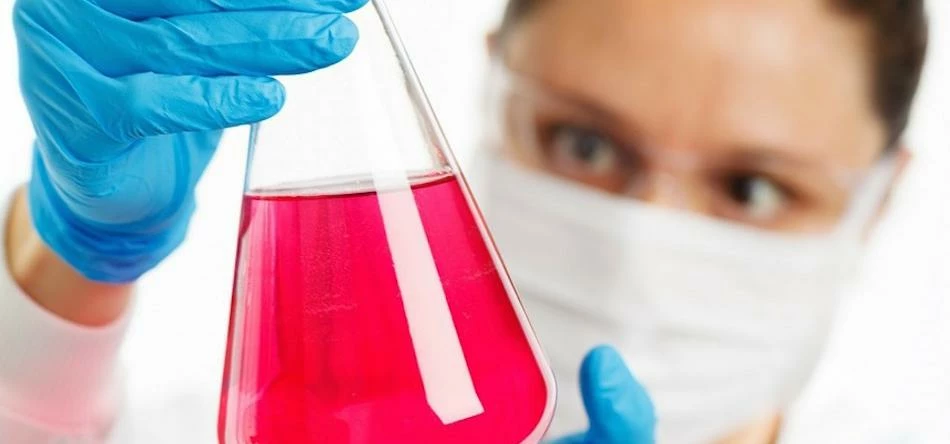 Holchem is expecting 2016 to be its 'best year' to date