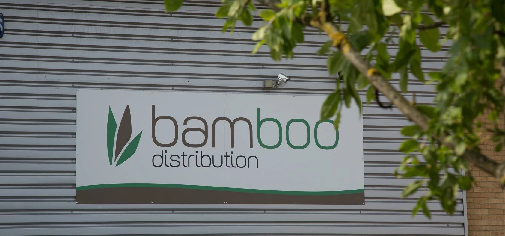 Bamboo Distribution