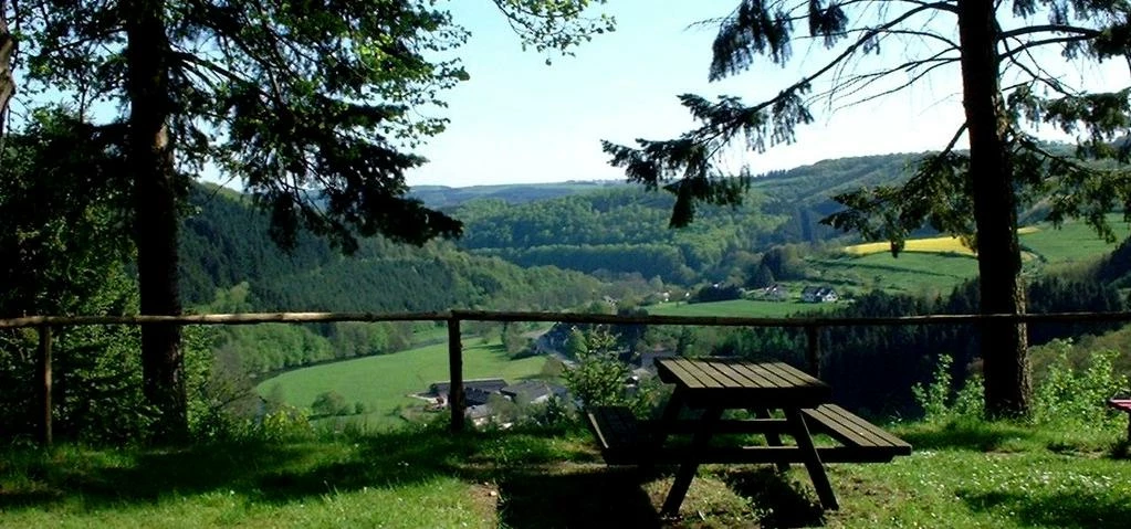 Luxembourg is famous for its abundant forest and greenery. The majestic trees within the area have b