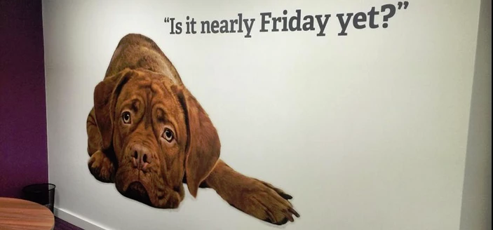 Pets Choice- Is it nearly Friday yet?