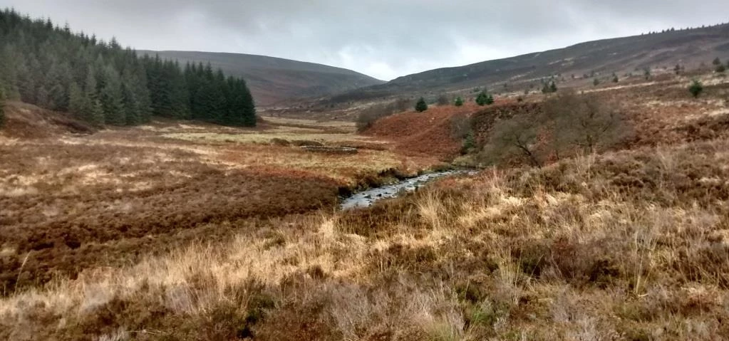 Kielder