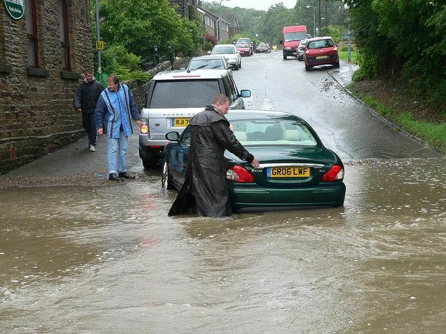 Flood by Wendy North