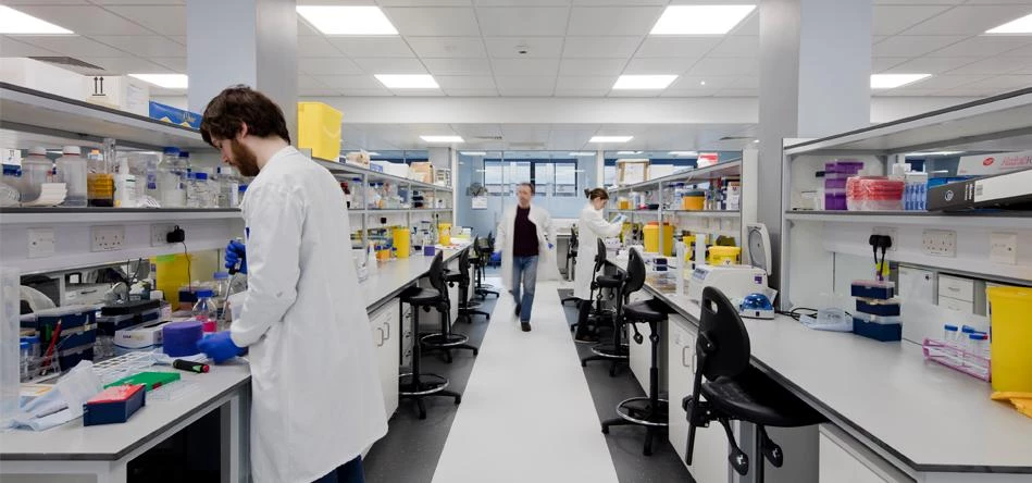 ICM Laboratory