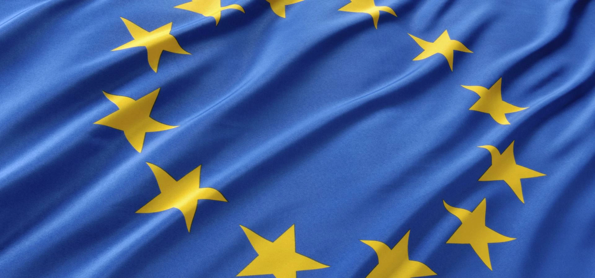 The EU. In or Out?