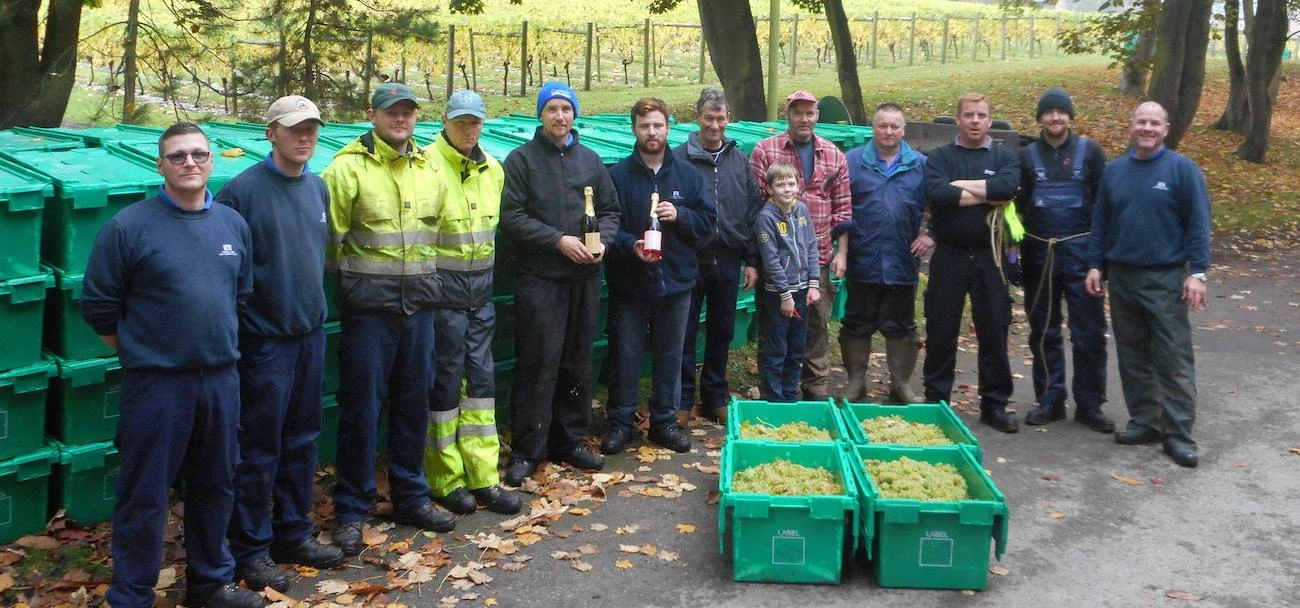 Members of the grape-picking team at Carden Park