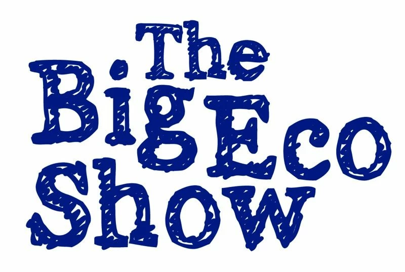 The Big Eco Show 2