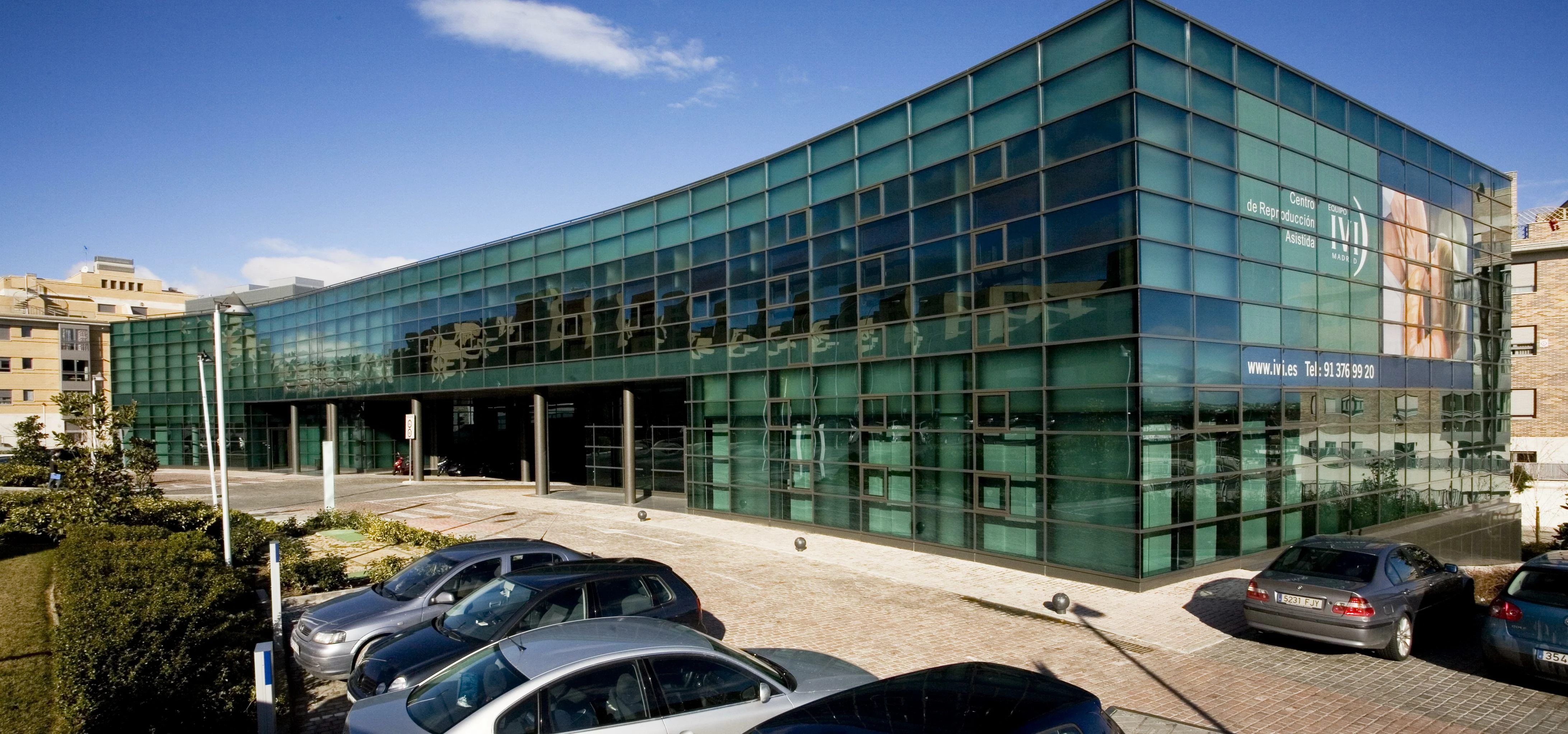ivi fertility