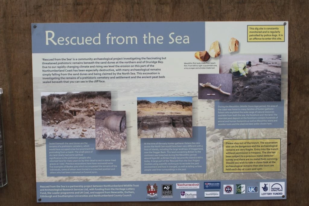 Rescued from the sea