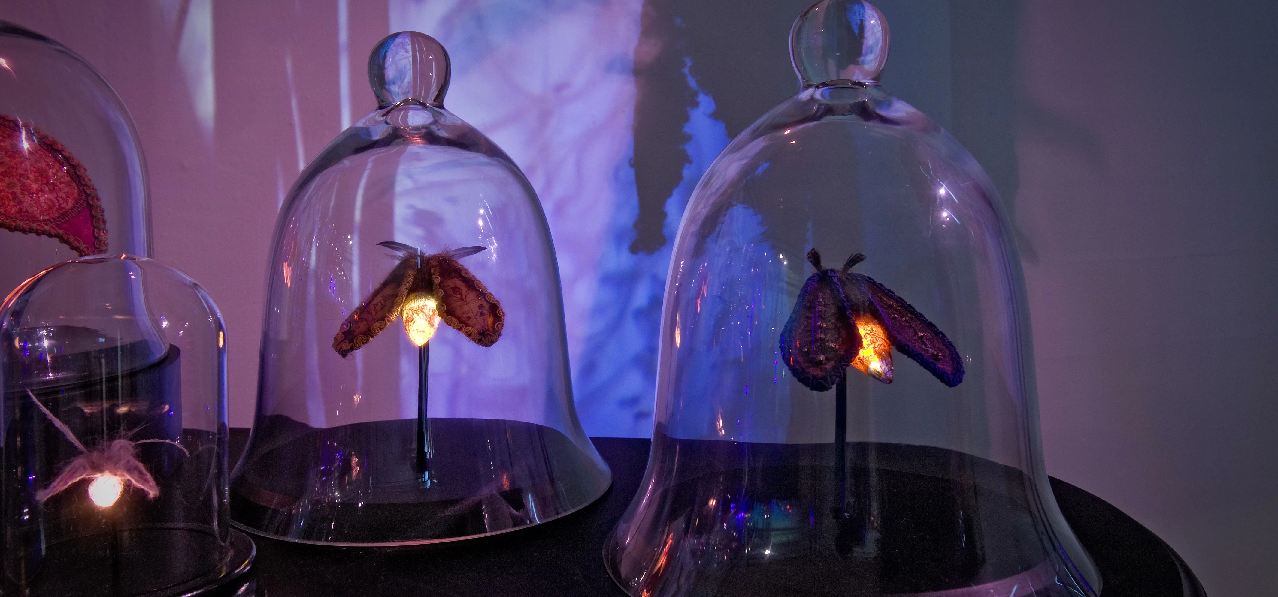 Stunning installation will portray a magical world of illuminated nocturnal insects. 