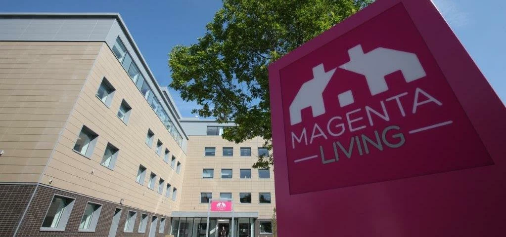 Magenta Living's Offices