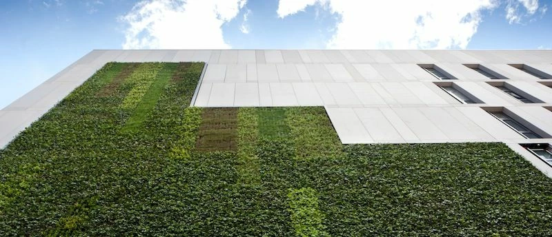 Living Wall