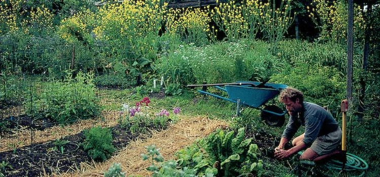 Ecological Land Co-operative preserves sustainable, rural livelihoods in the South East