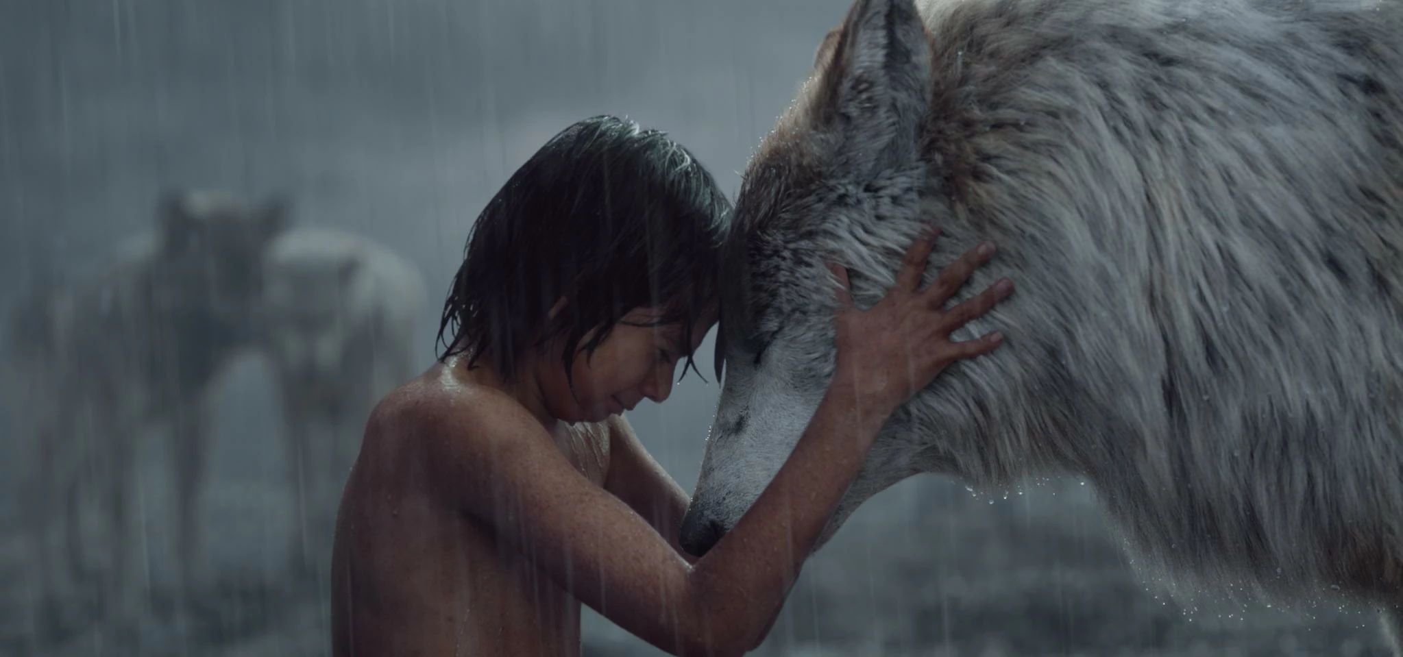 Scene from The Jungle Book photo Disney