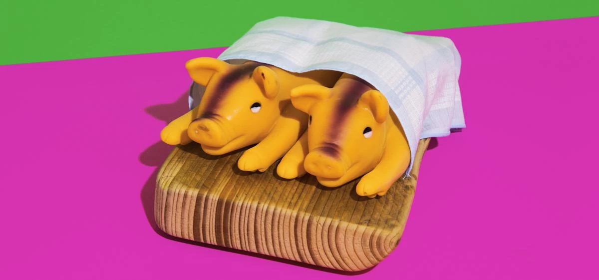 Food Puns 'Pigs in Blankets'