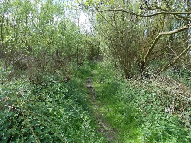 Hauxley looking west