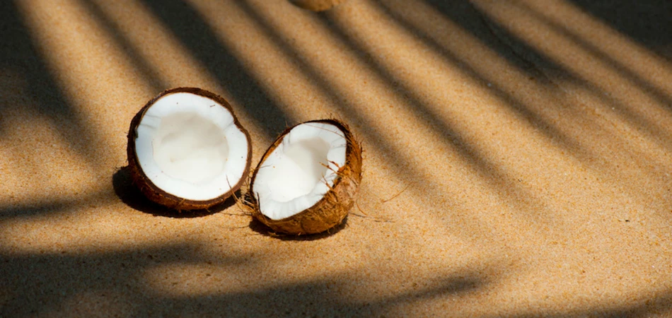 Coconut oil has had a lot of coverage in the media in recent times
