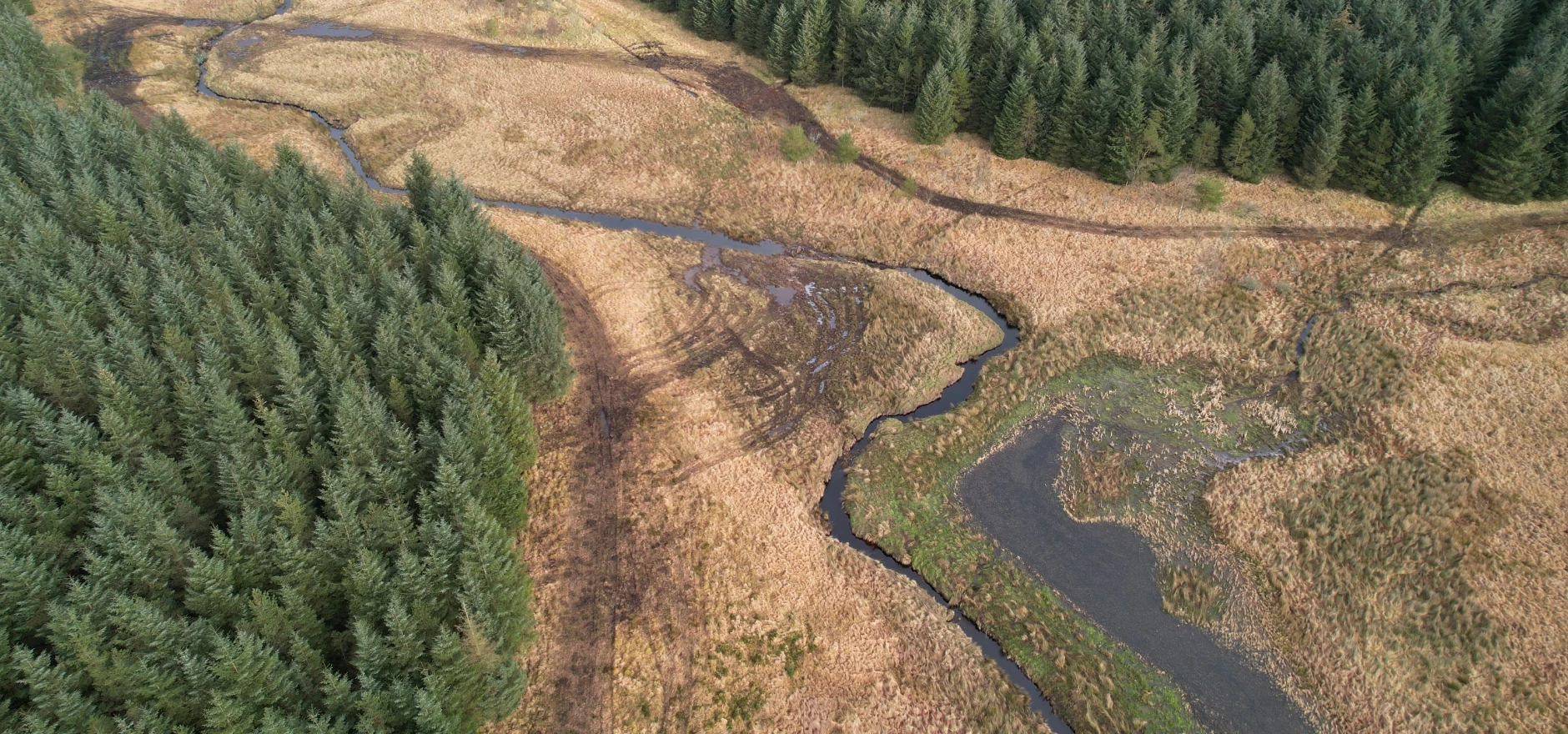 Tipalt Burn remeandered river - smaller.JPG