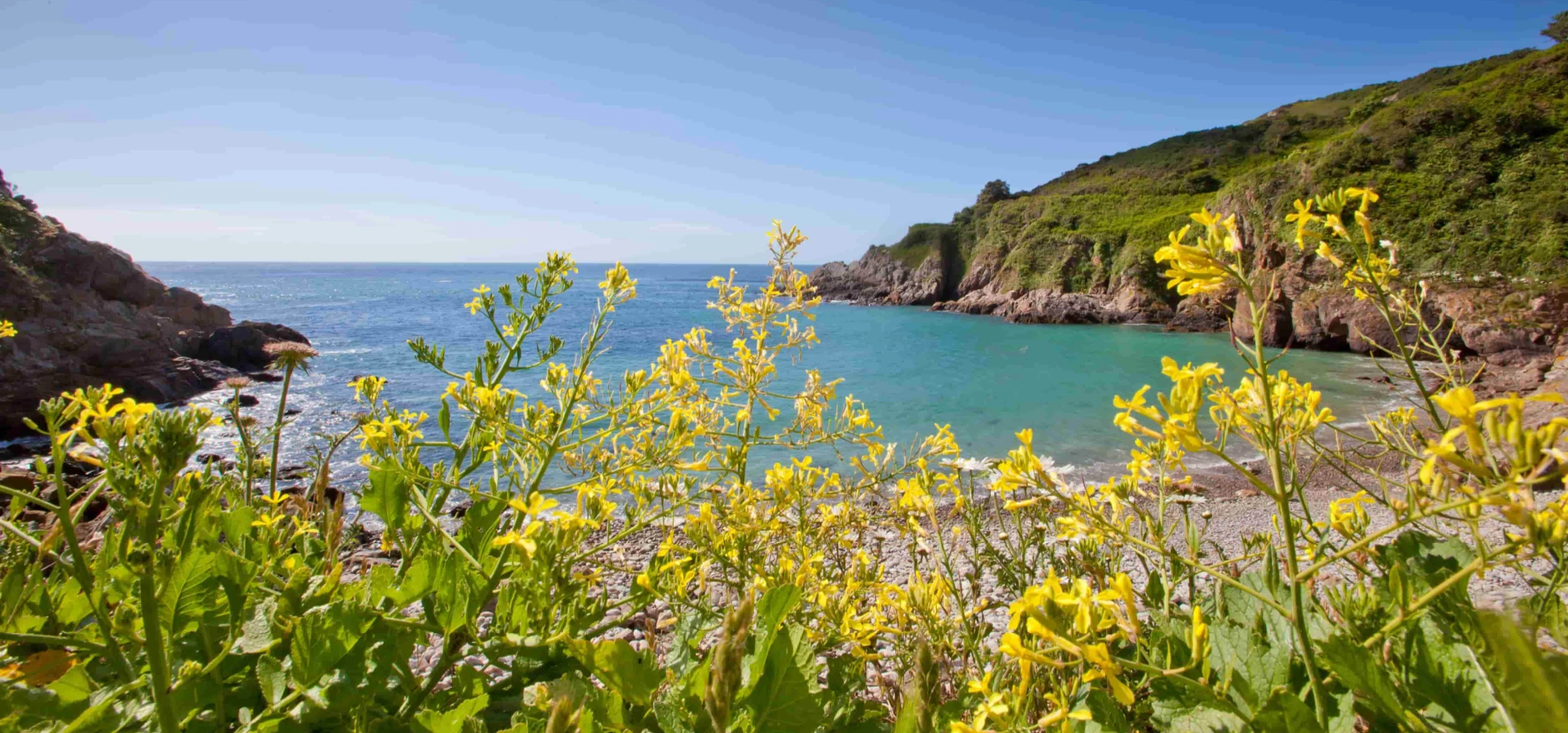 Guernsey-2.jpg