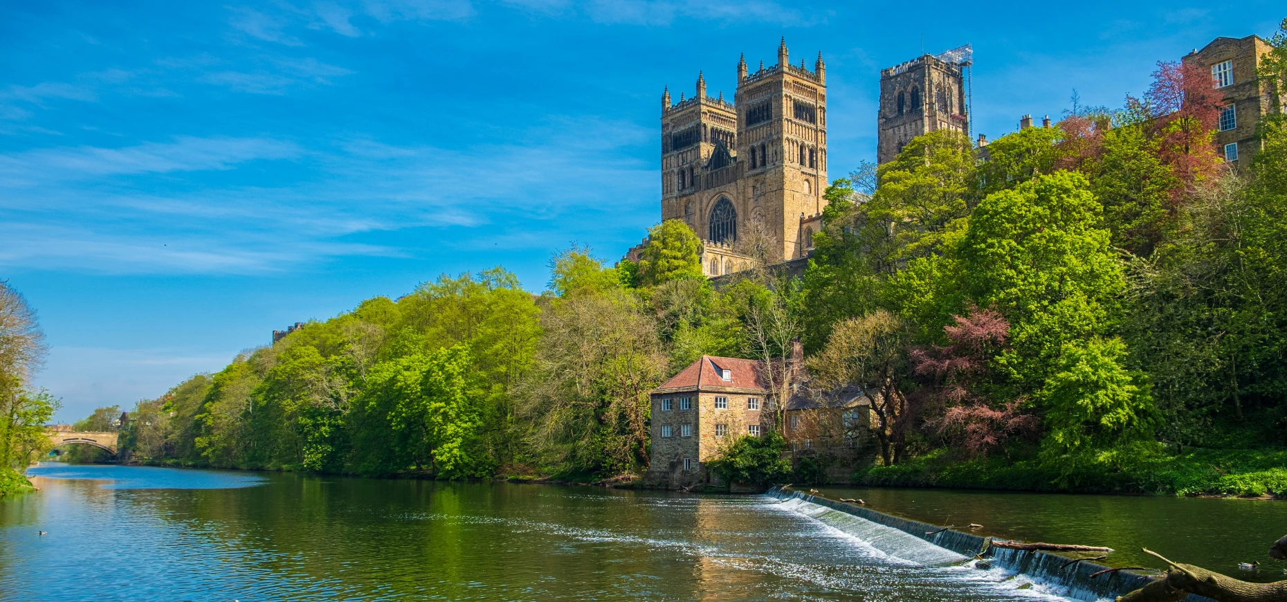 The river and forest that run alongside Durham Cathedral.