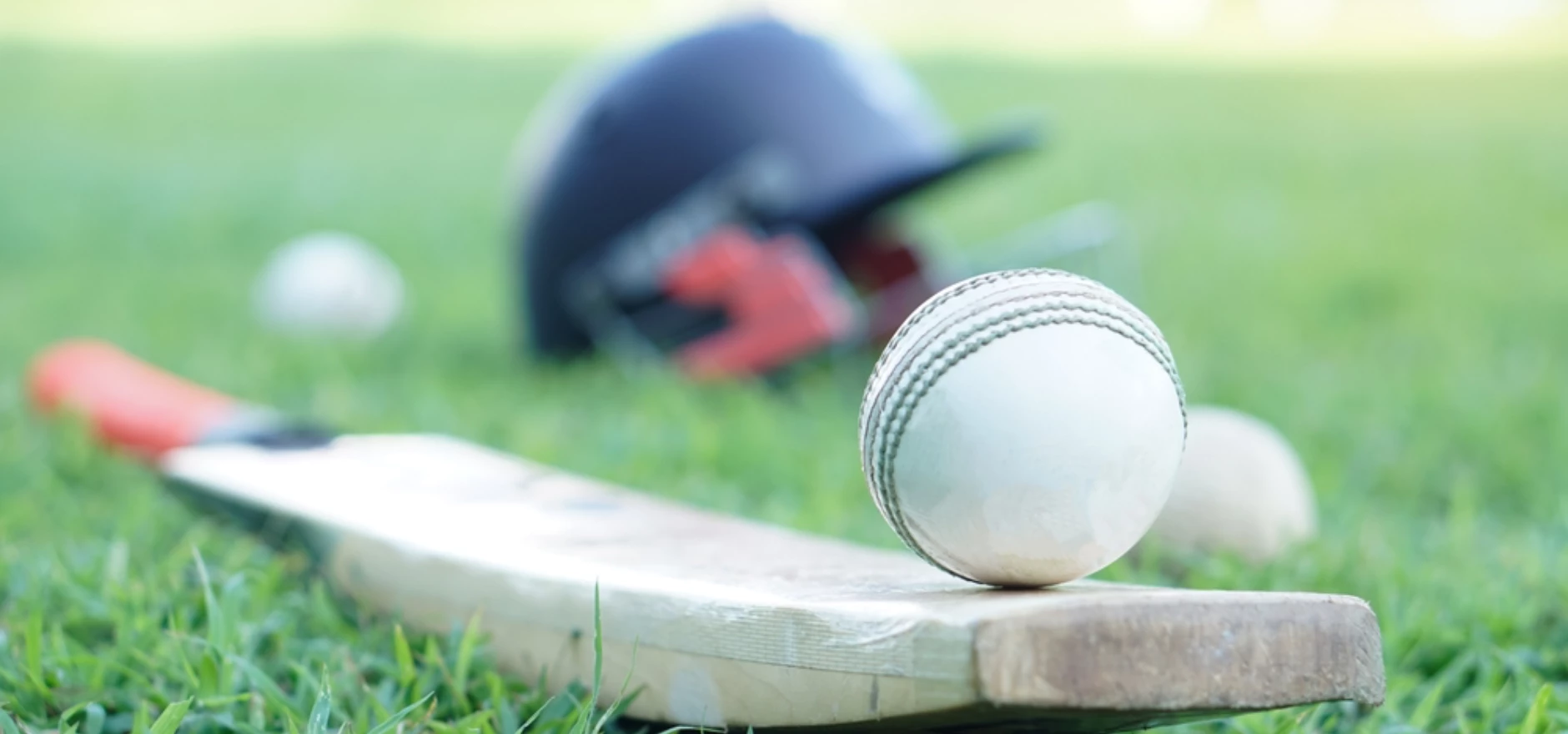 Cricket