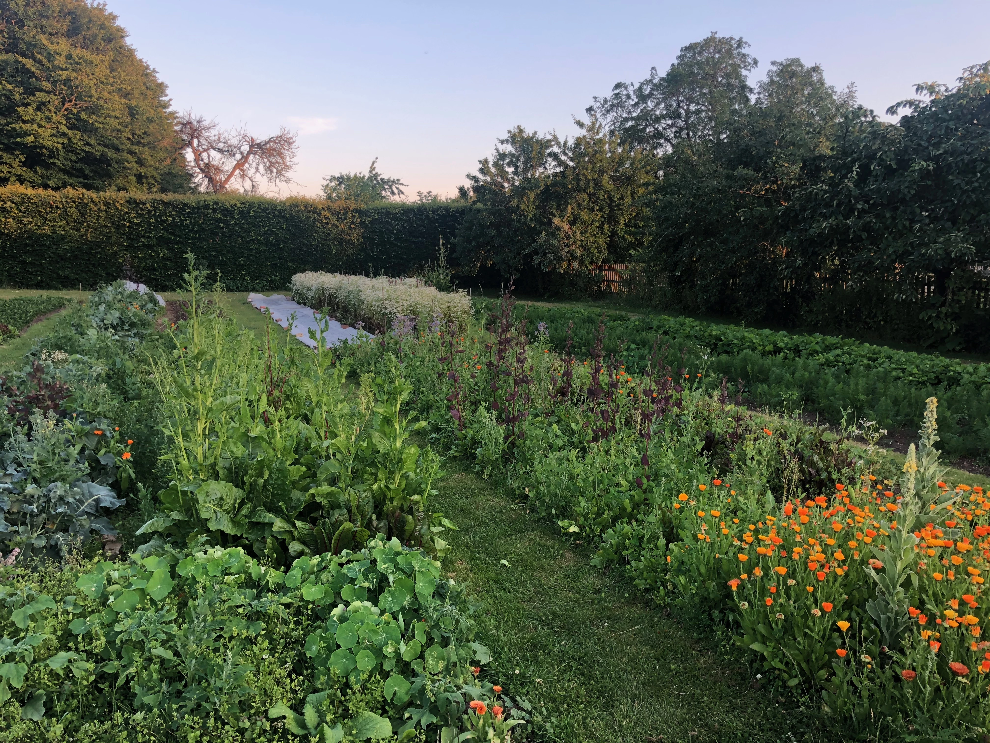Biodynamic farm in Berkshire
