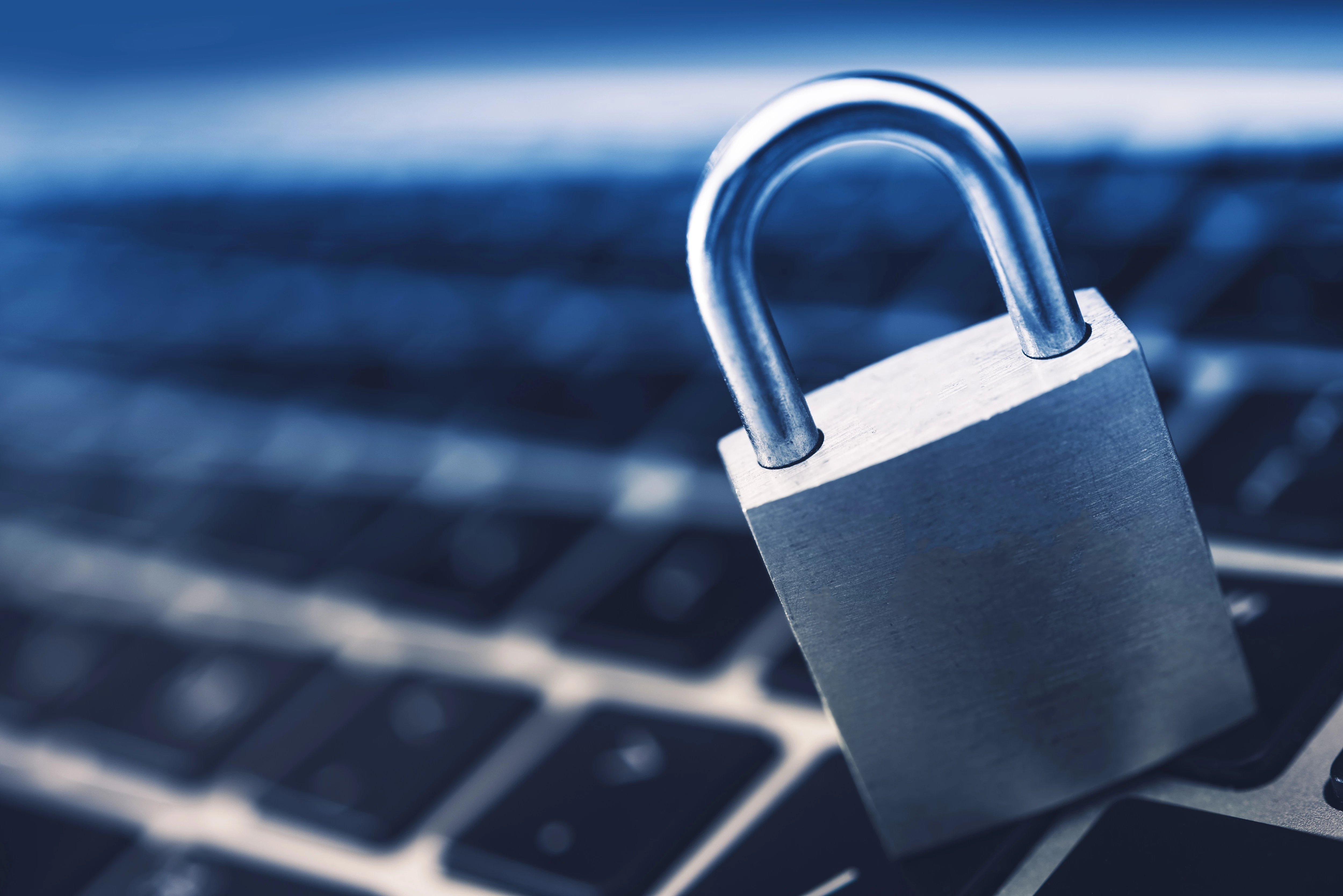 Attendees will find out how vulnerable data is, and gain insights into the techniques hackers use to access networks.