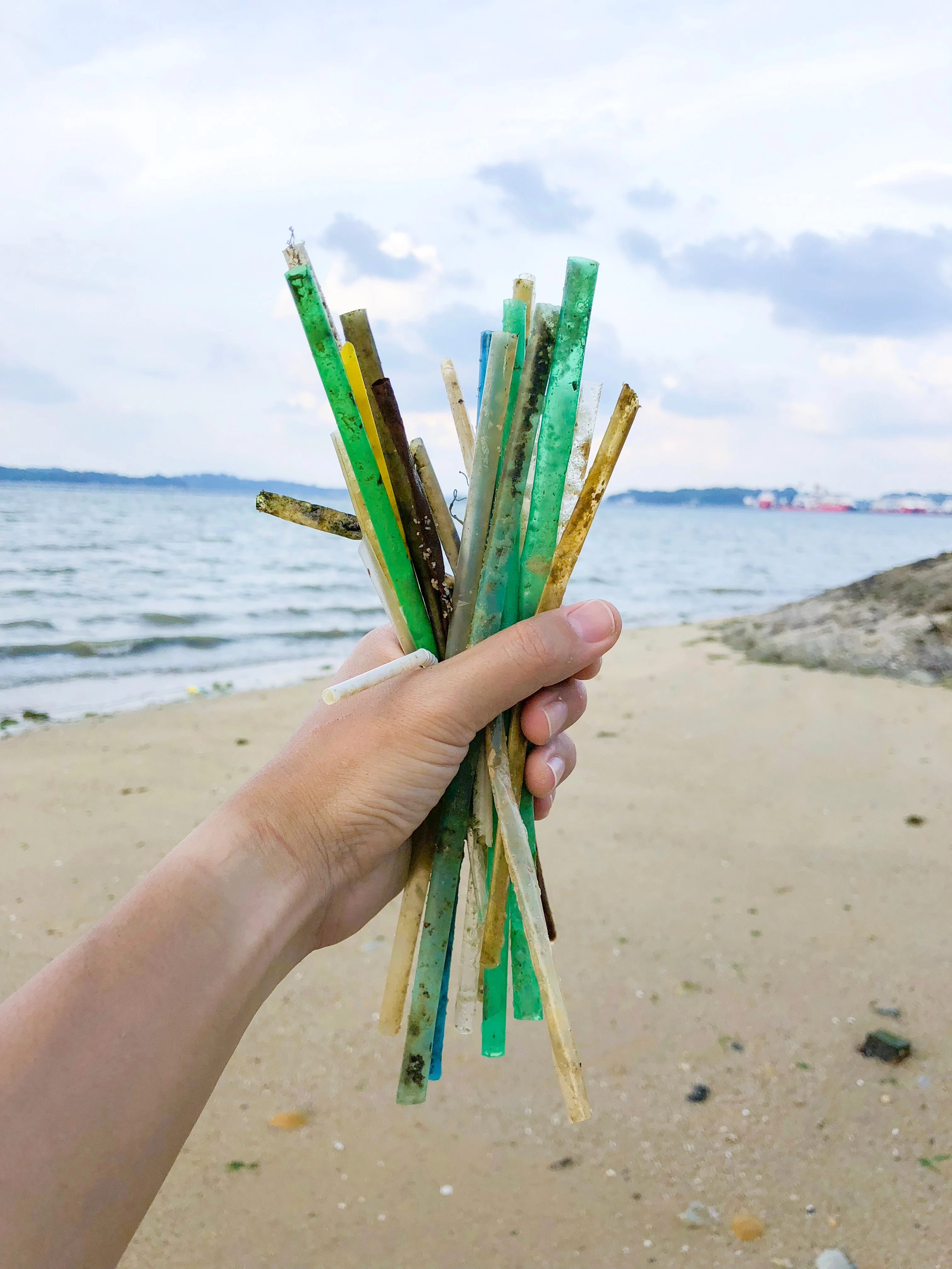 Straws found on beach