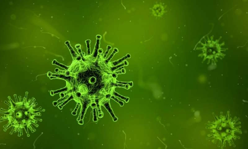 Wuhan New Coronavirus is not SARS Virus