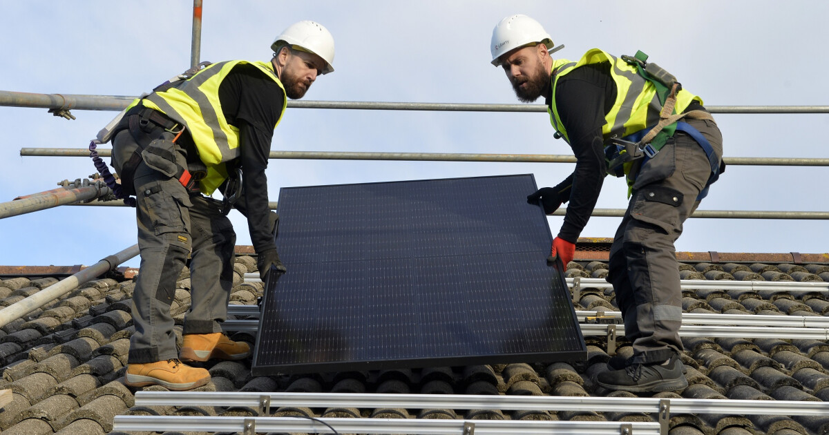 NetZero Collective wins place on major framework to help deliver its ...