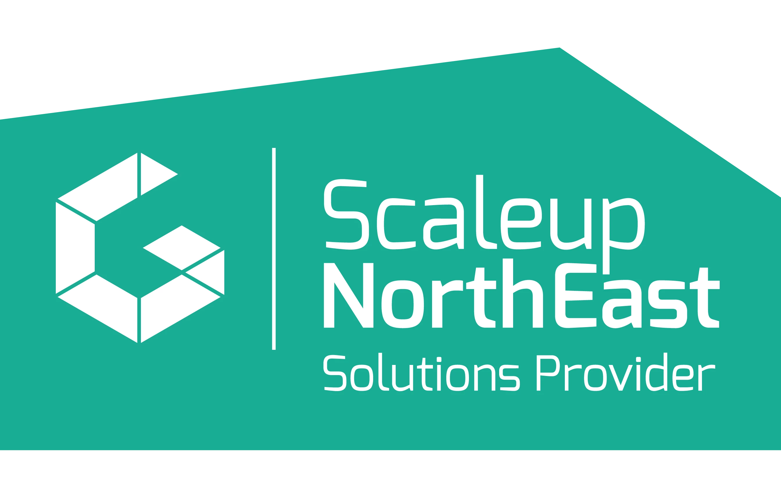North East Scaleup Solution Provider