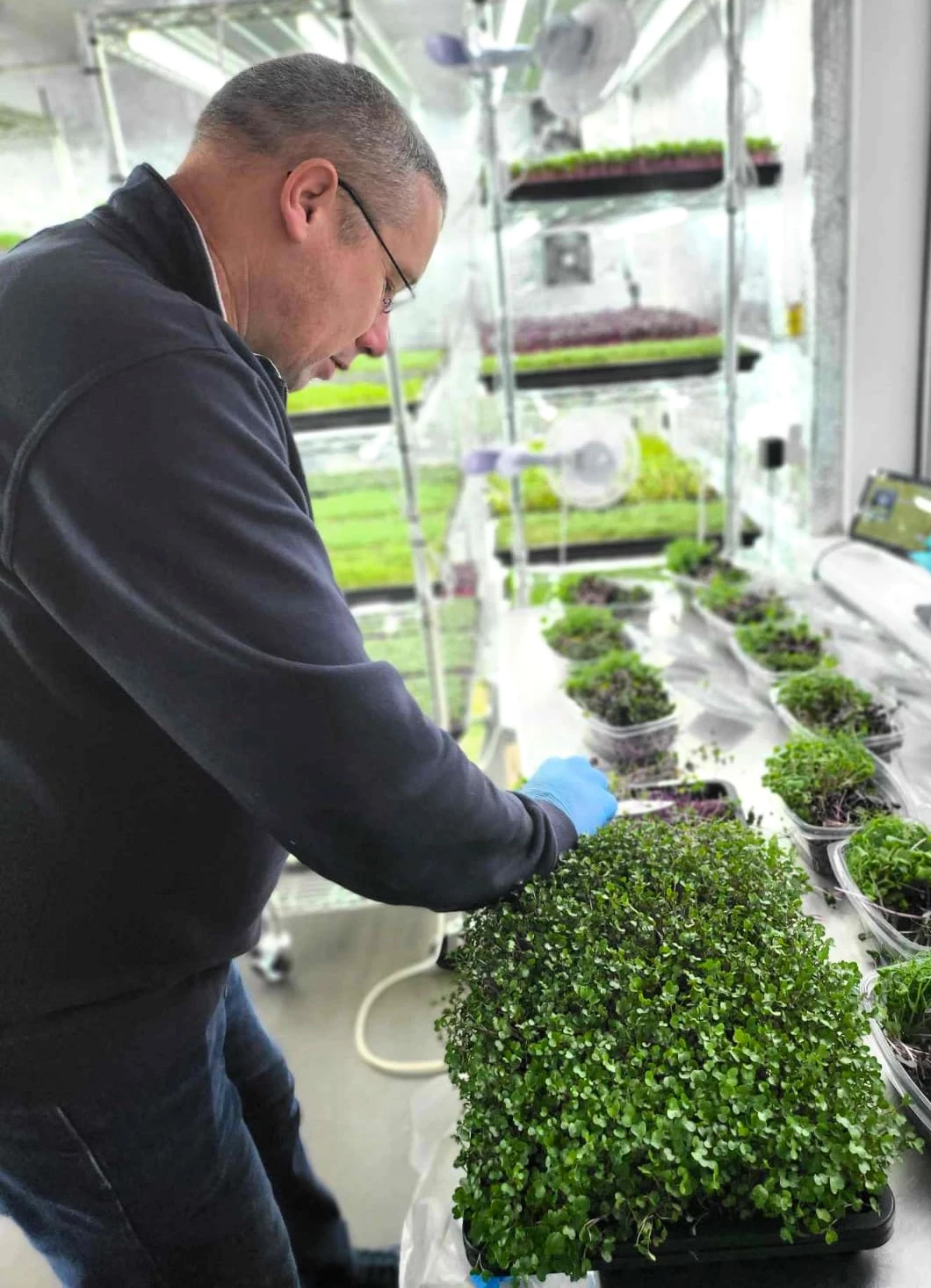 Chris Graves from Micro Acres Wales