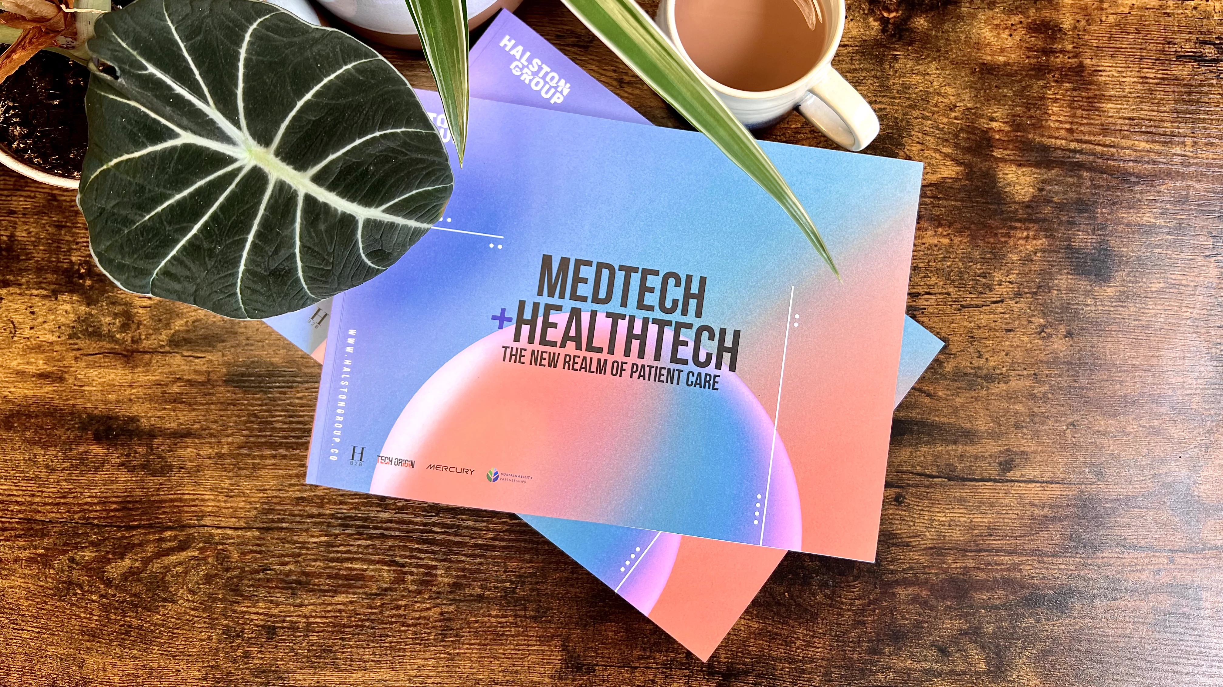 Halston Group MedTech Report