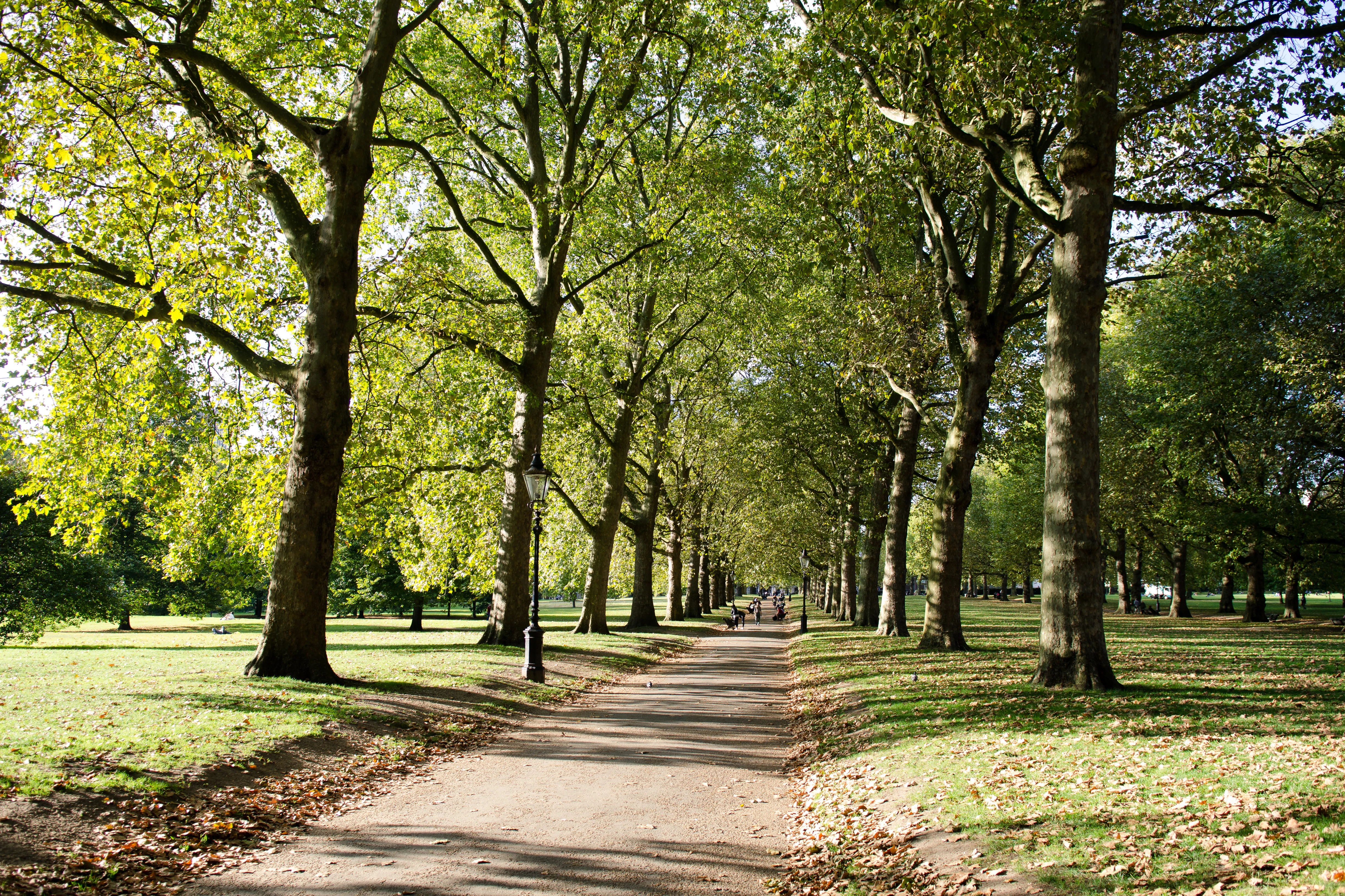Green Park - London