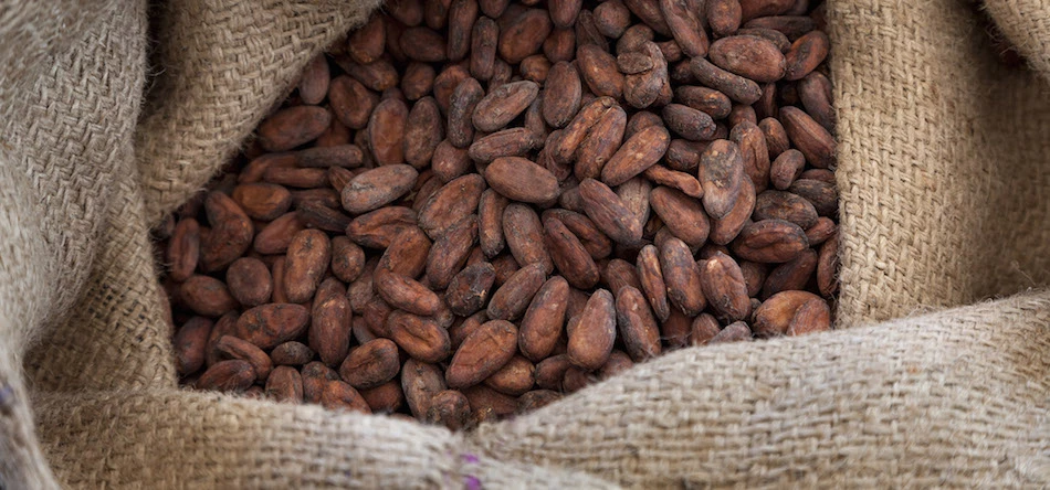 Almost 65,000 tonnes of cocoa beans arrive in Liverpool each year