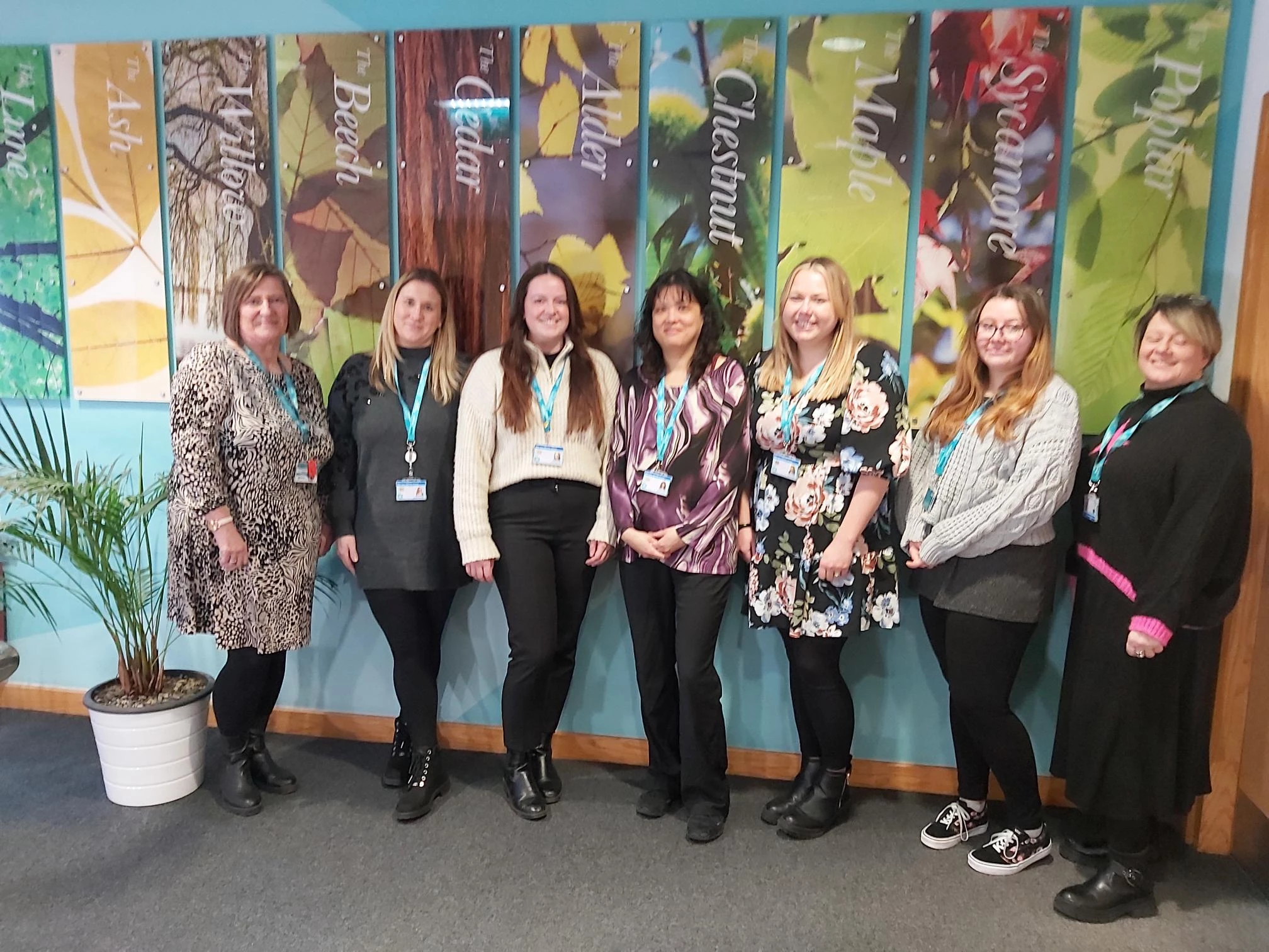 The provide Community Child Health Information Services (CHIS) Team