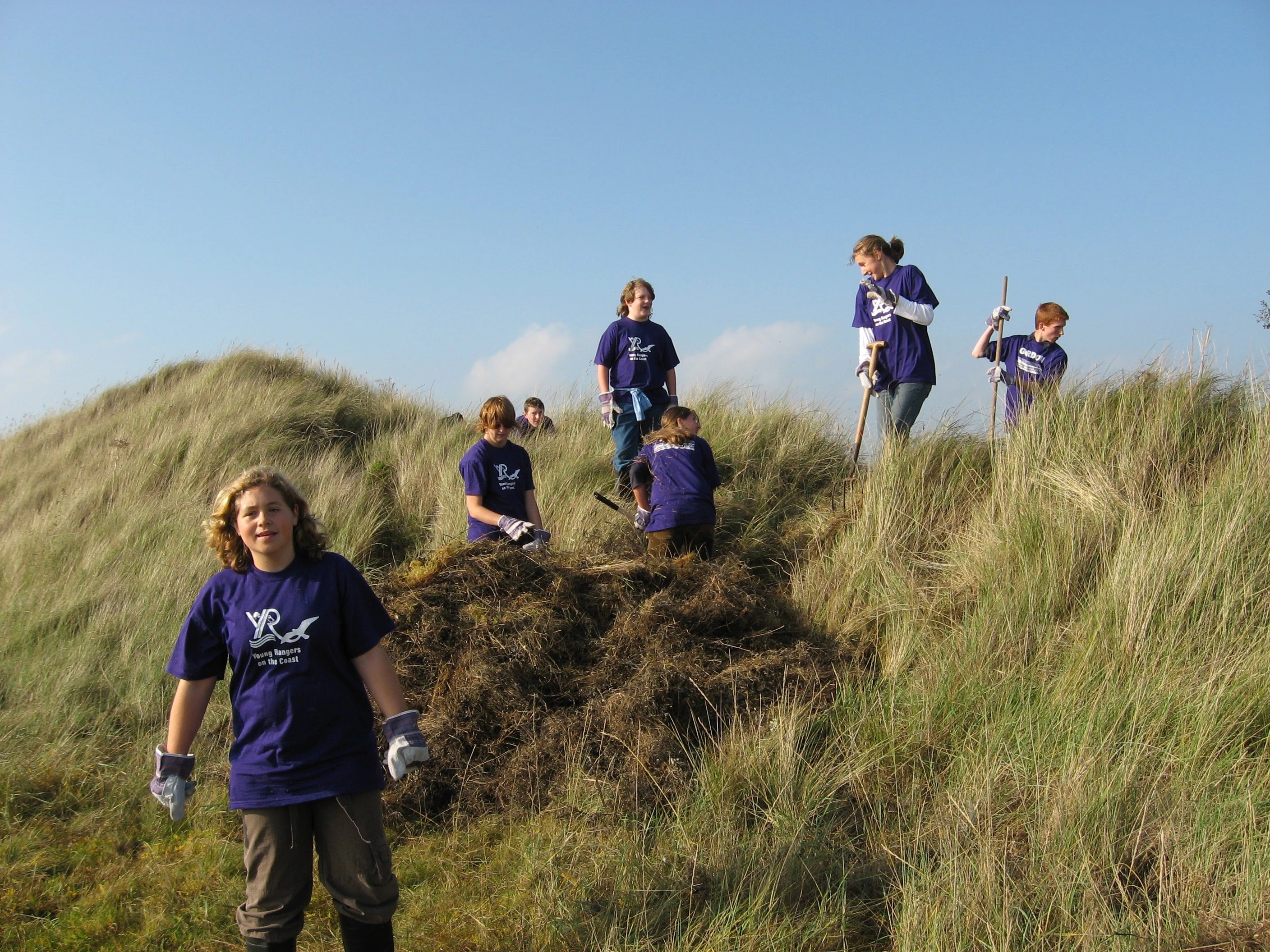 Previous Young Rangers assisting with dune management