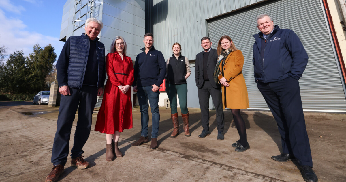 Dinsdale Farming Expands With Musterfield Poultry Acquisition