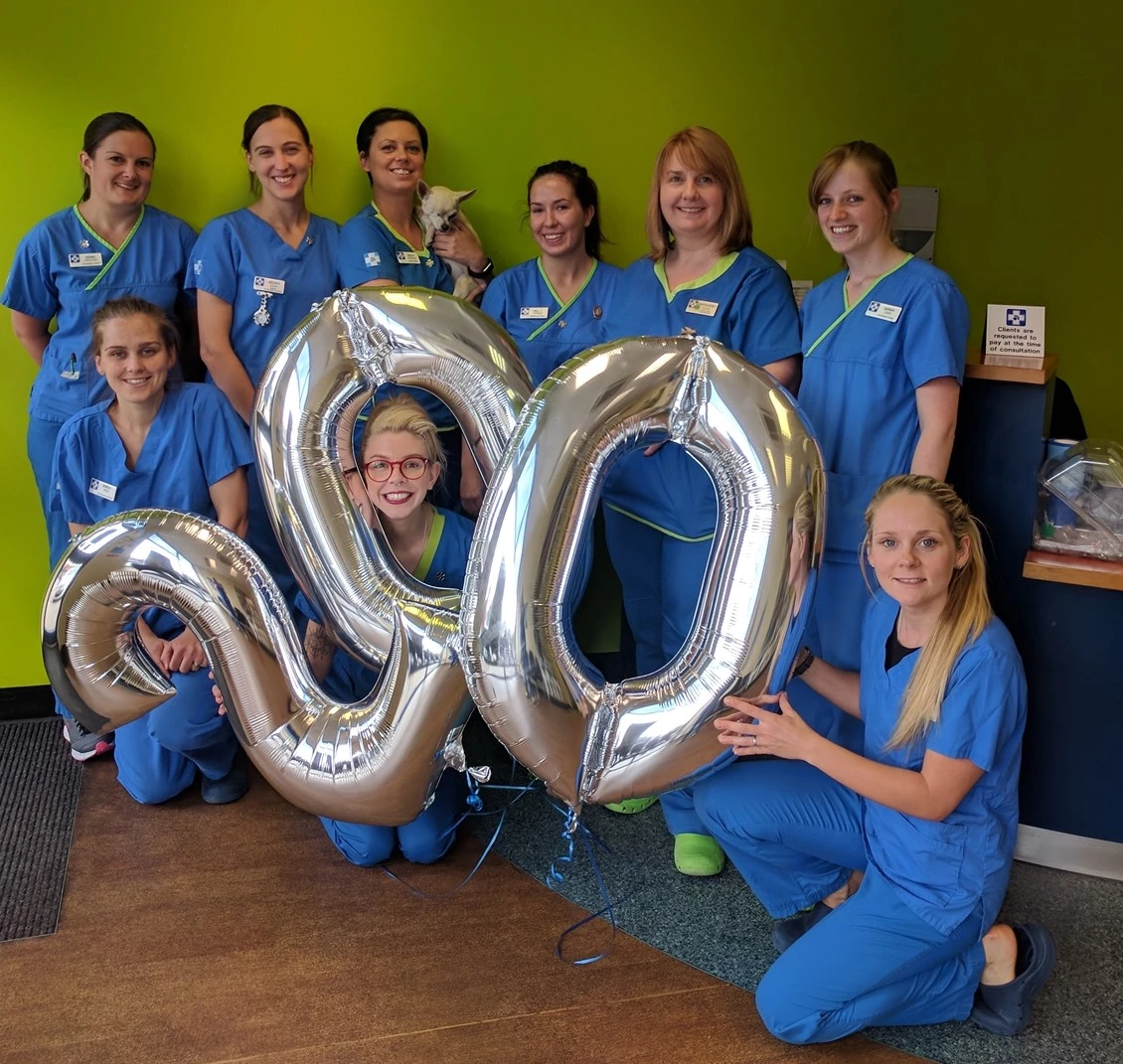 White Cross Vets employs its 200th member of staff