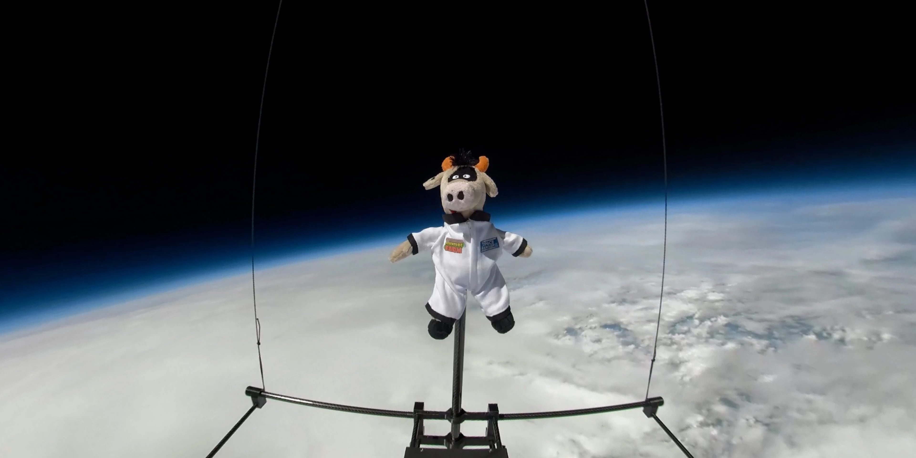 Crumpet the Cow on his voyage to the edge of space