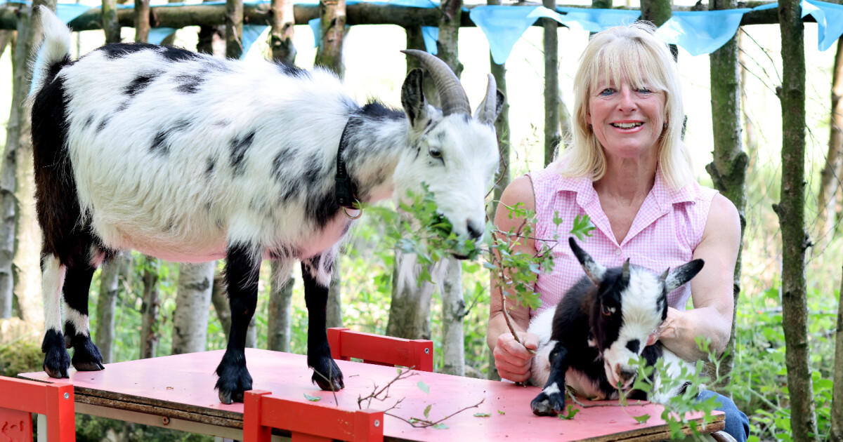 Community farm finds ‘new direction’ | Bdaily