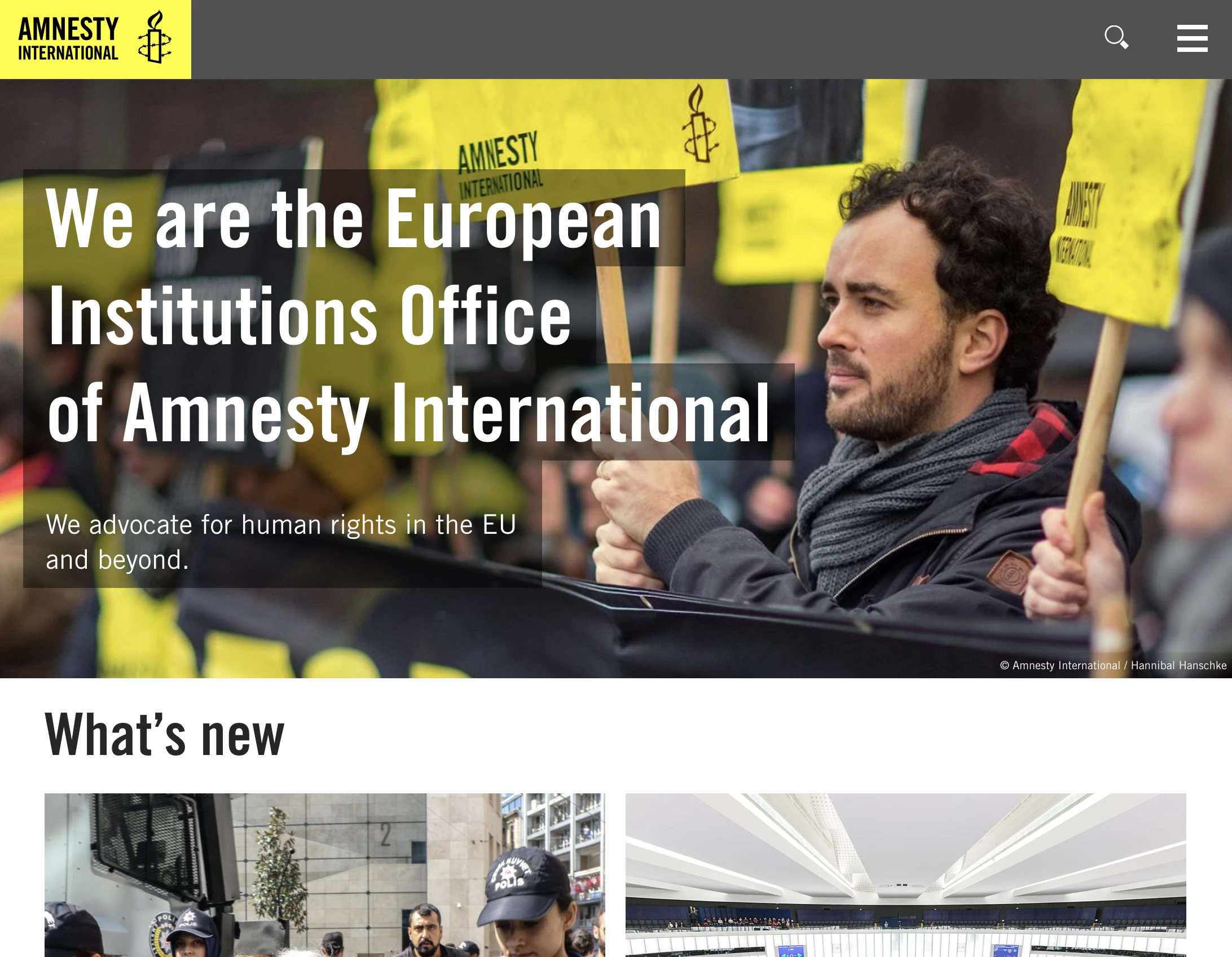 The amnesty.eu website