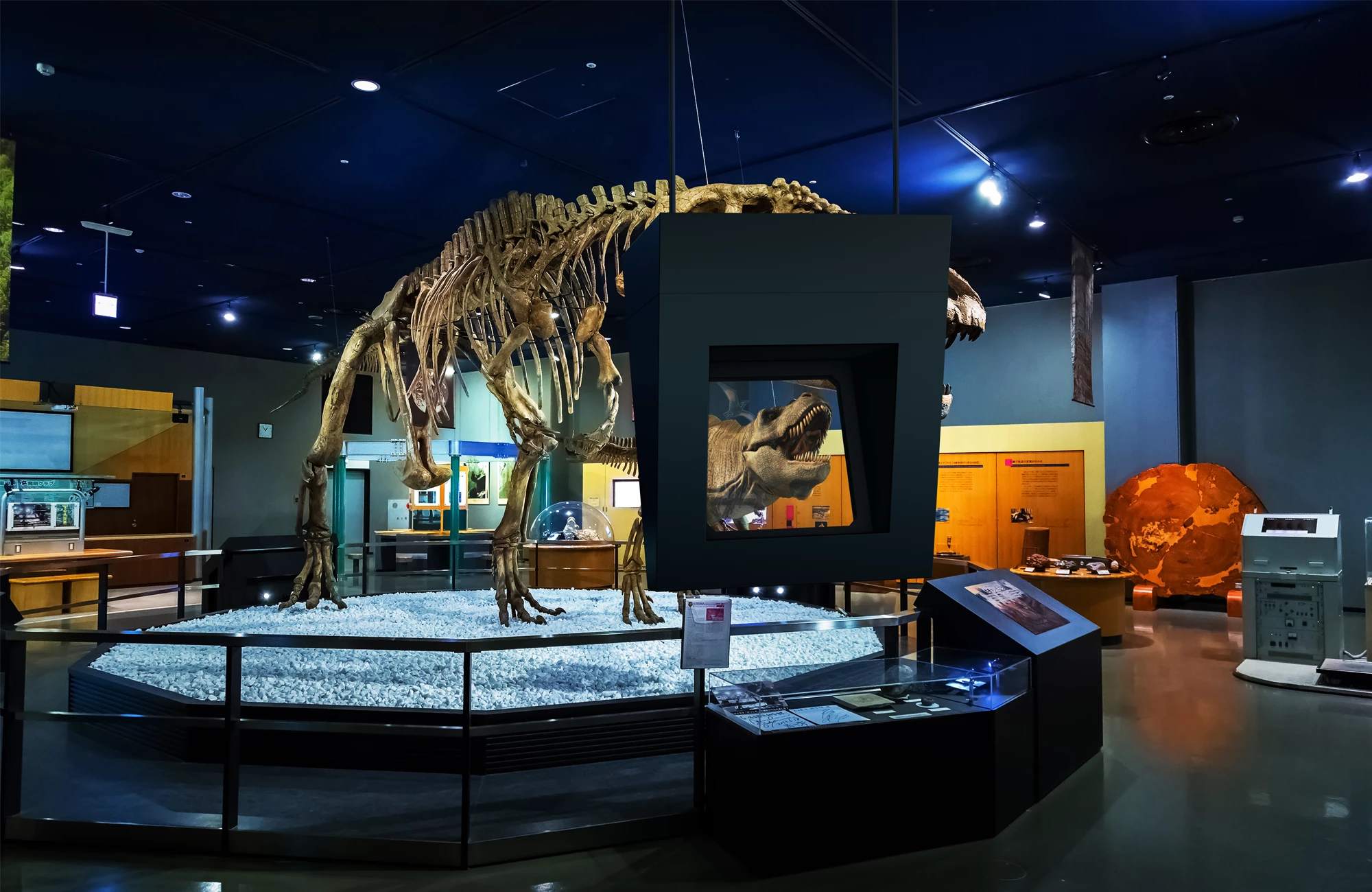 DeepFrame One set up in a museum