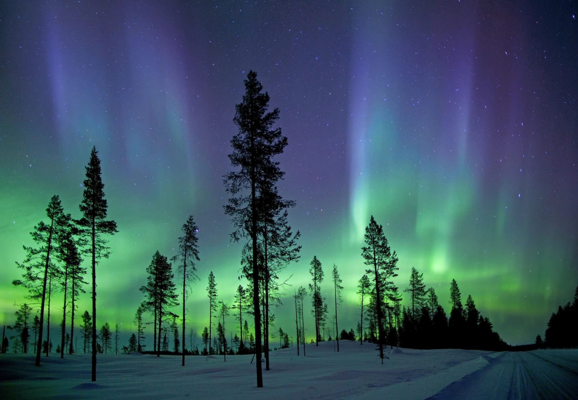 Northern Lights. 