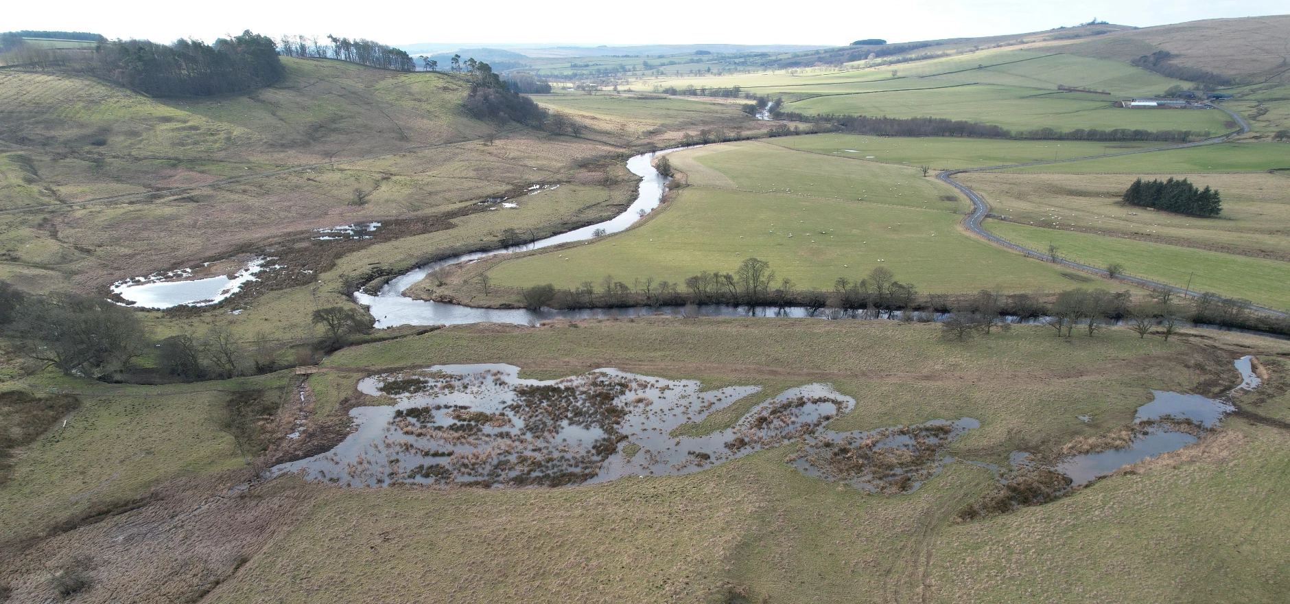 Rede Floodplain Restoration.JPG