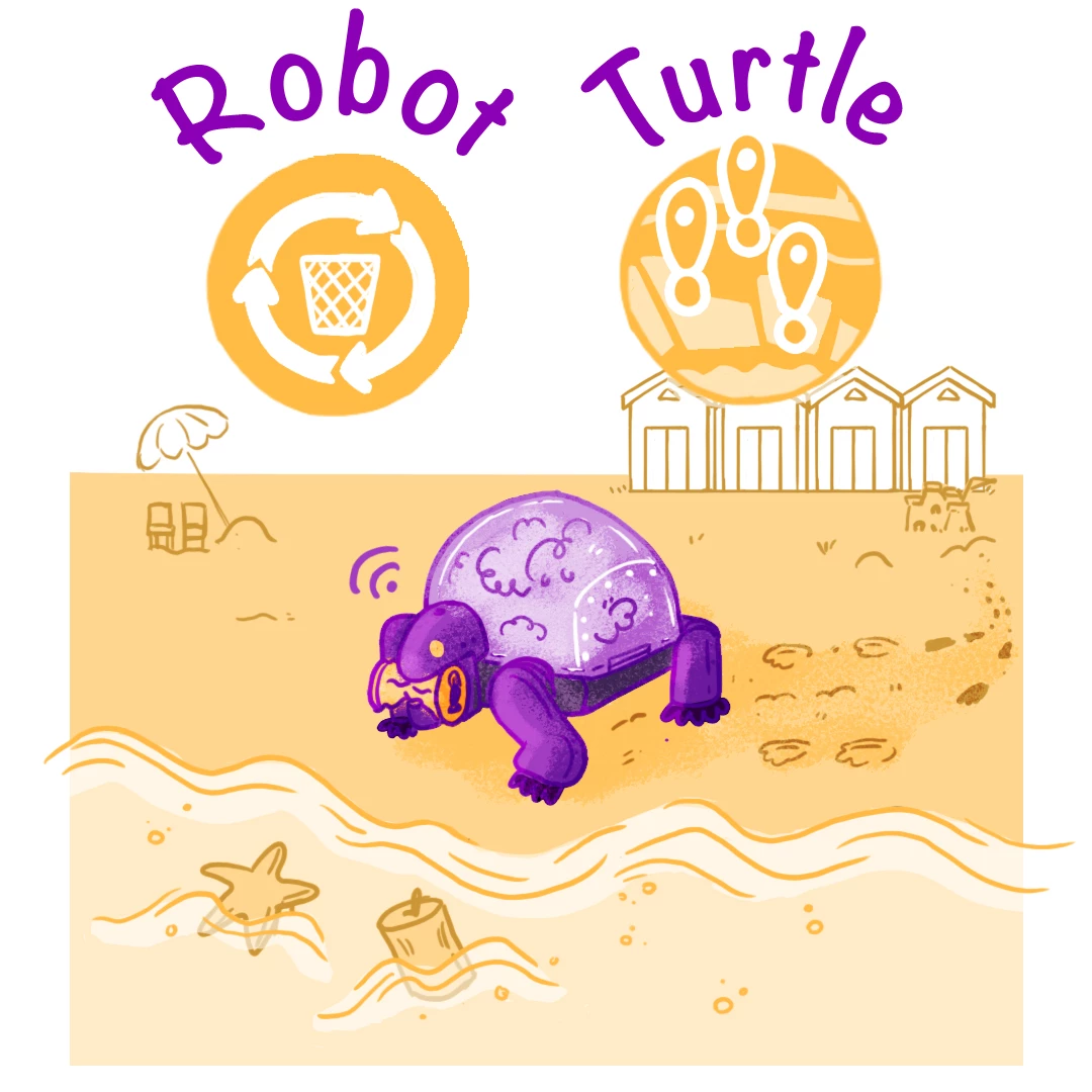 Longitude Explorer Prize -Robot Turtle