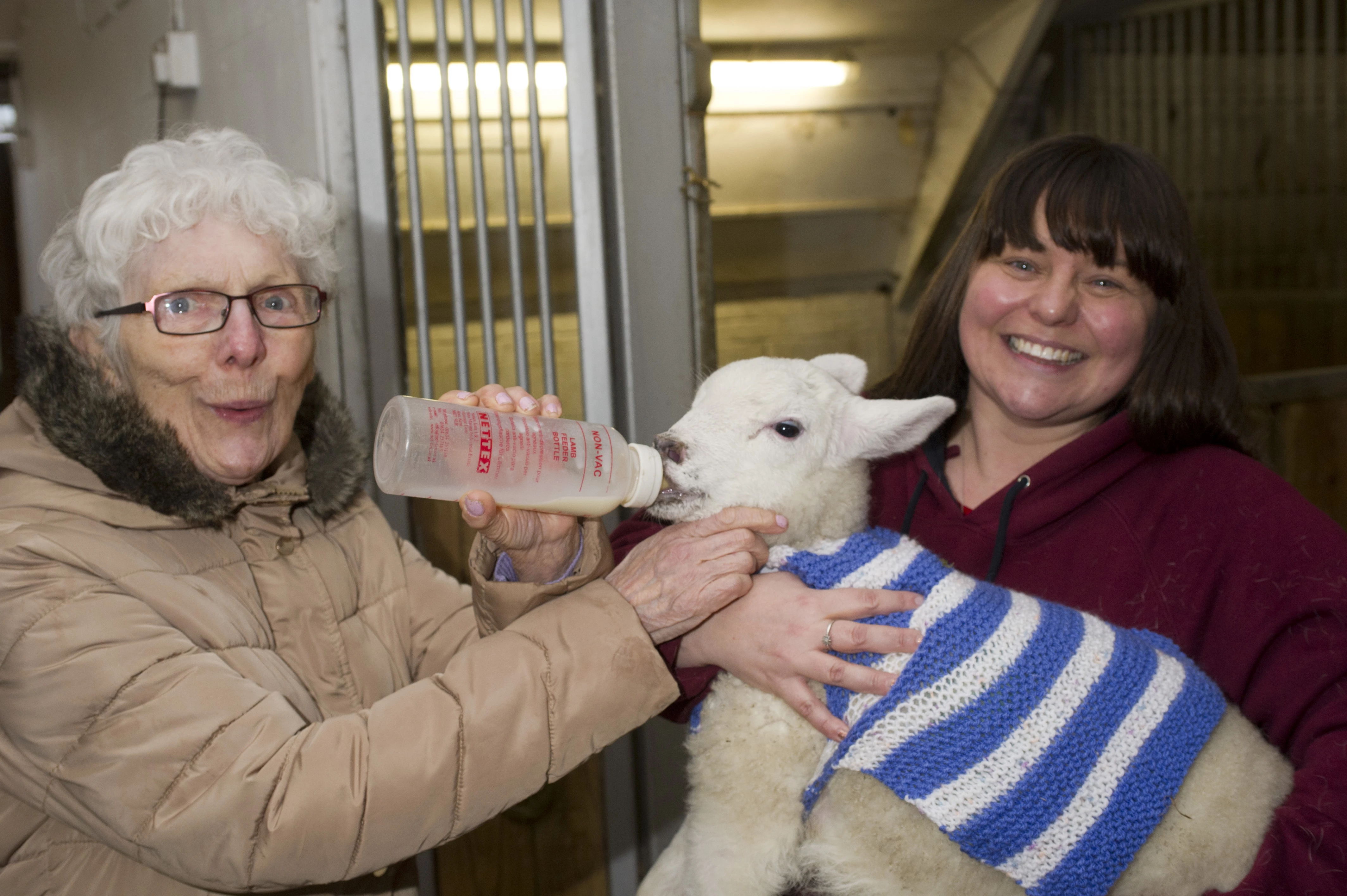 1.)	Scarbrough Court resident Cath feeding a pet lamb wearing a jumper she made with Dawn Peters, events coordinator at Whitehouse Farm Centre.