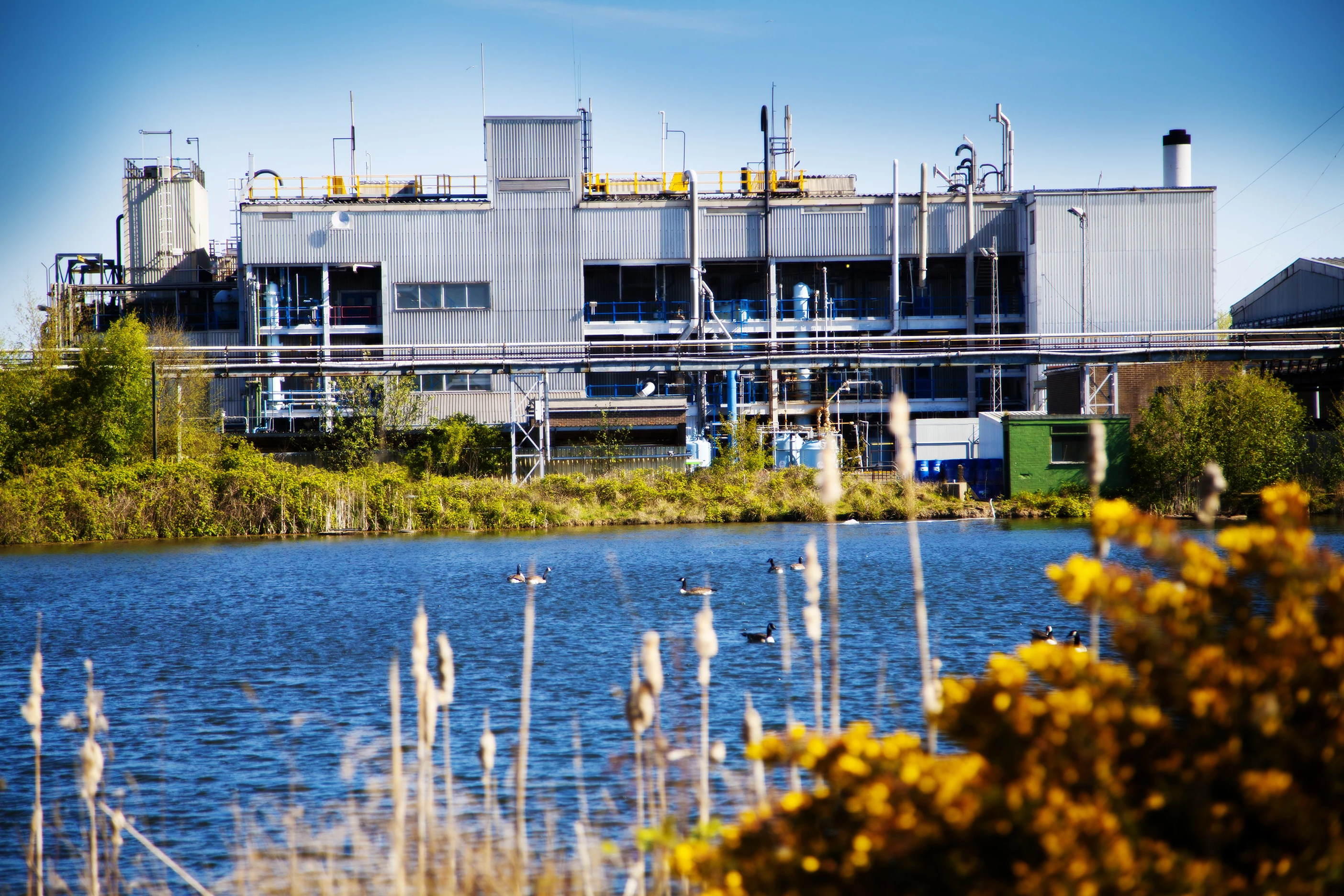 Sterling's UK site in Cramlington