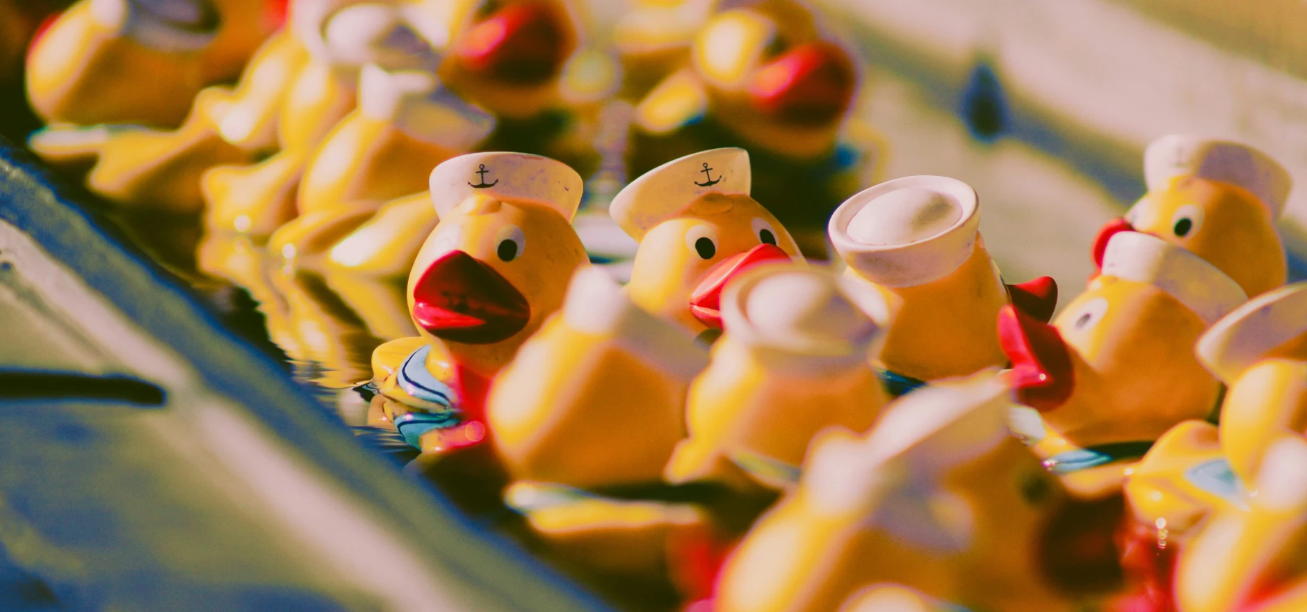 Duck race
