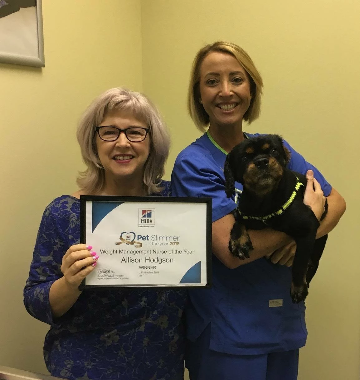 Award winning veterinary nurse Allison Hodgson from White Cross Vets 