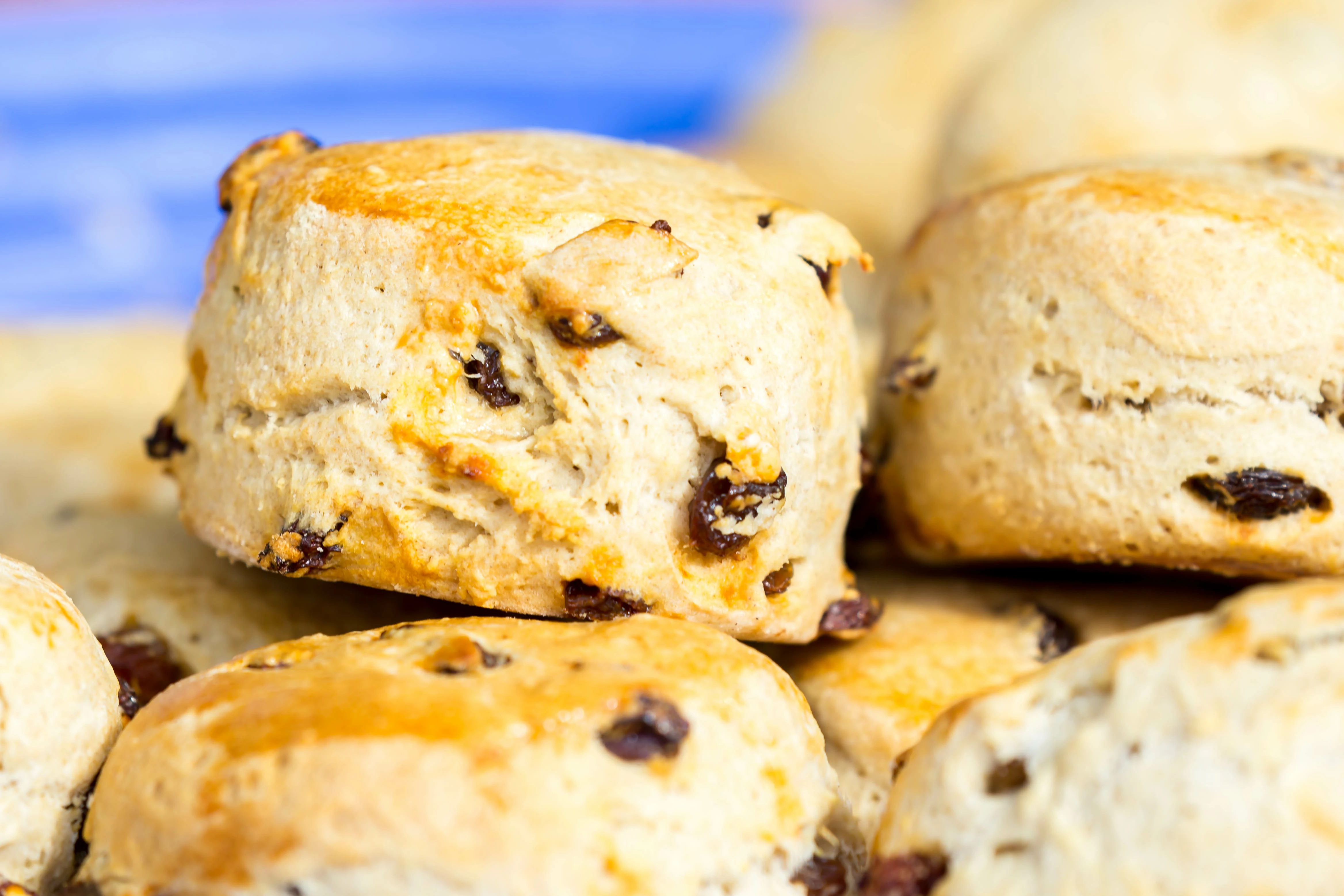 Scone Fruits